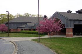 Exterior view of a school with tree in front